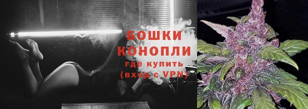 МДПВ Вяземский