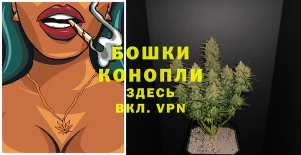 МДПВ Вяземский