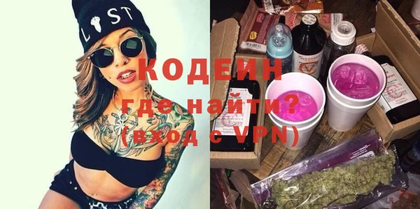 МДПВ Вяземский