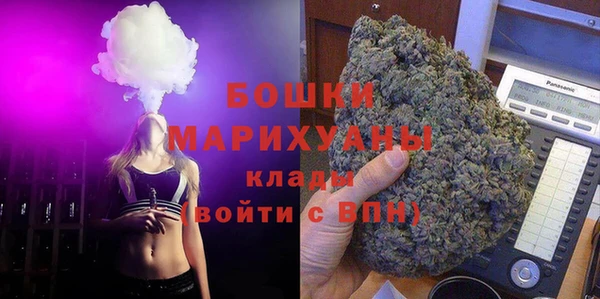 МДПВ Вяземский