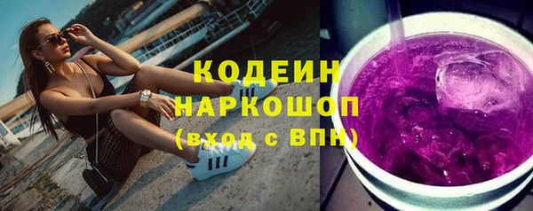 МДПВ Вяземский