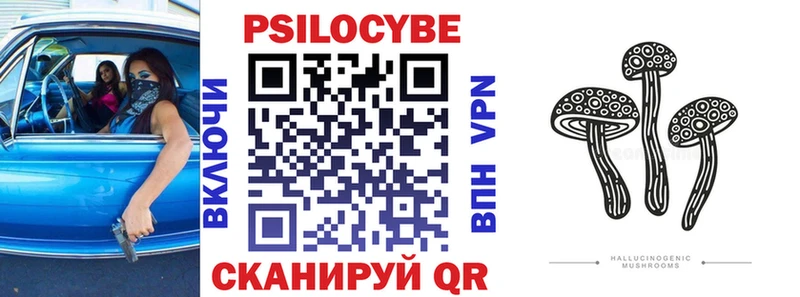 где можно купить наркотик  Донецк  Псилоцибиновые грибы мухоморы 